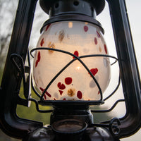 DIETZ・FEUERHAND etc オイルランタン交換用ホヤ 恋心 深緋