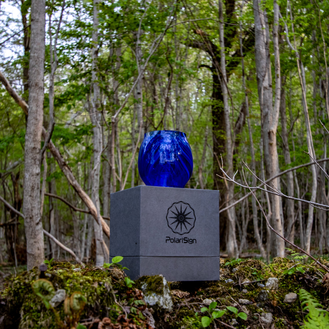 DIETZ・FEUERHAND etc オイルランタン交換用ホヤ　淙淙 瑠璃