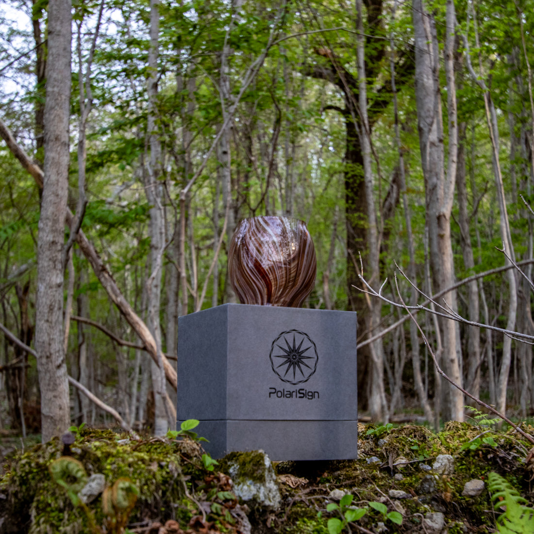 DIETZ・FEUERHAND etc オイルランタン交換用ホヤ　淙淙 黒柿